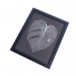 Leaf skeleton - (Monstera 2 fenestrations)