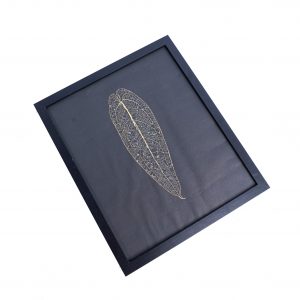 Leaf skeleton - (Anthurium Warocqueanum)