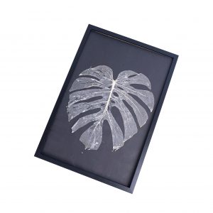 Leaf skeleton - (Monstera 12 fenestrations)